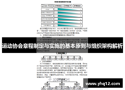 运动协会章程制定与实施的基本原则与组织架构解析