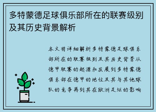 多特蒙德足球俱乐部所在的联赛级别及其历史背景解析